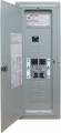 Generac GenReady 125-Amp Automatic Transfer Switch & 200-Amp Load Center